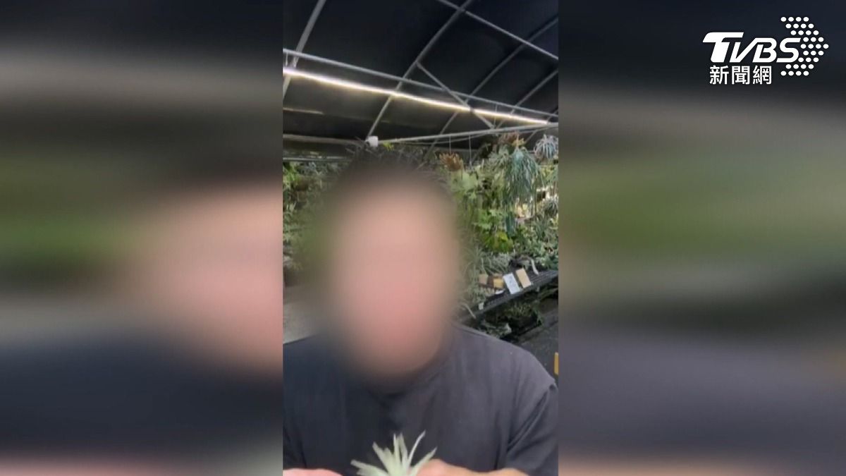 這位從事鹿角蕨栽種老闆年約40歲,外型陽光,經常在社群媒體進行直播與粉絲互動。(圖/TVBS)
