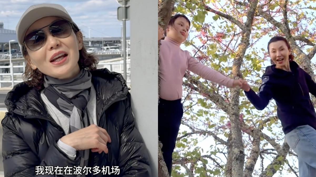 張曼玉在波爾多旅遊,與小朋友一起爬樹,讓她有「回到童年」的感覺。(圖/翻攝自小紅書@張曼玉)