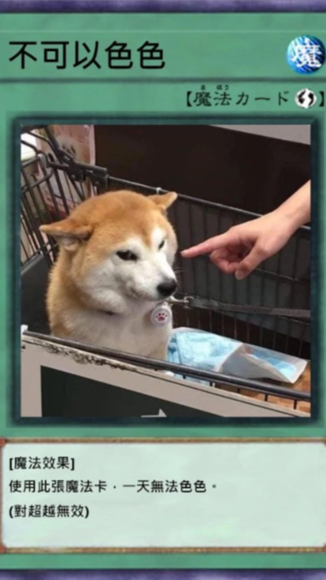 柴犬迷因圖。(圖/翻攝自X@jojonftmemes)