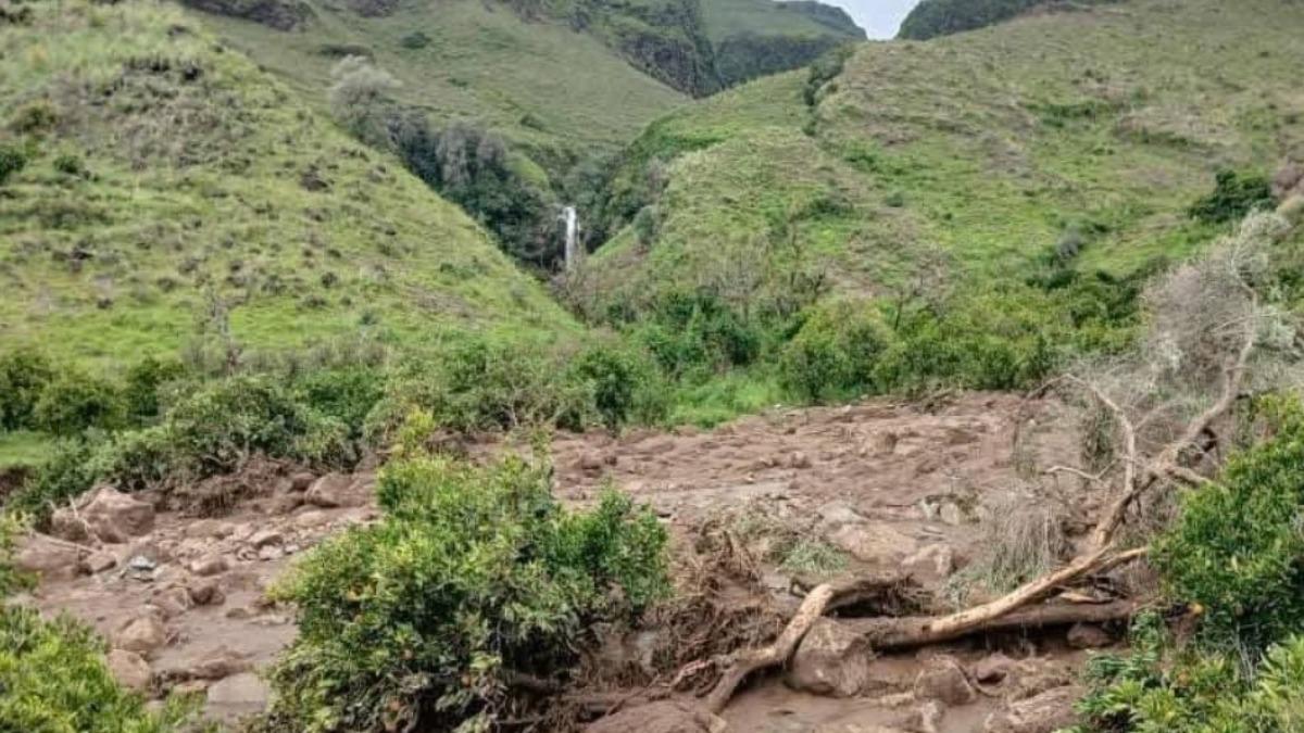 蘇丹內戰不止又遇天災!「土石流滅村」逾1000死、僅1人倖存