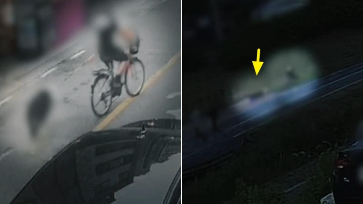 韓男將牧羊犬綁電動車 熱天「拖行30分鐘」害口吐白沫亡