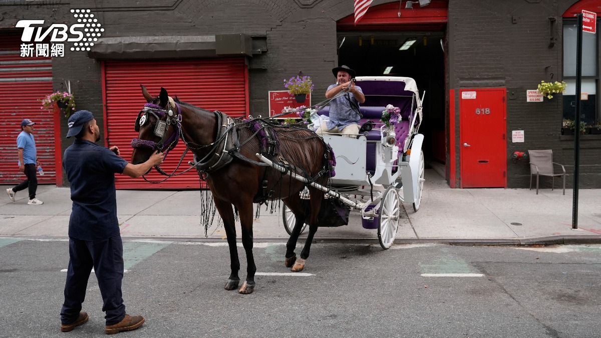 紐約曼哈頓有150年歷史的觀光馬車,又因為1日一起失控意外引起安全疑慮,出現禁止聲浪。(圖/達志影像美聯社)