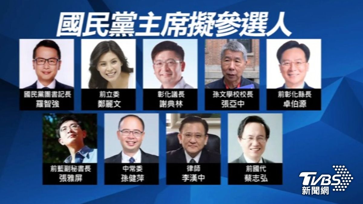 國民黨主席選舉（圖／TVBS資料畫面）