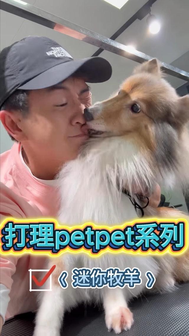 馬貫東時常分享寵物美容的片段,並表示自己真的很喜歡毛孩。(圖/翻攝自IG@ maboboma)