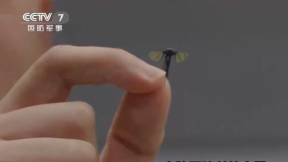 中國國防科技大學,研發2公分蚊型機器人 ,可潛入敵營竊聽並干擾系統。(圖/大陸央視)