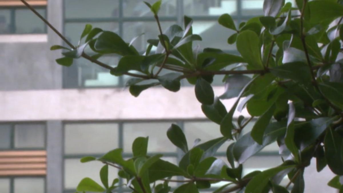 學霸遭5所學校封殺後重考上成大醫學系。（圖／TVBS）