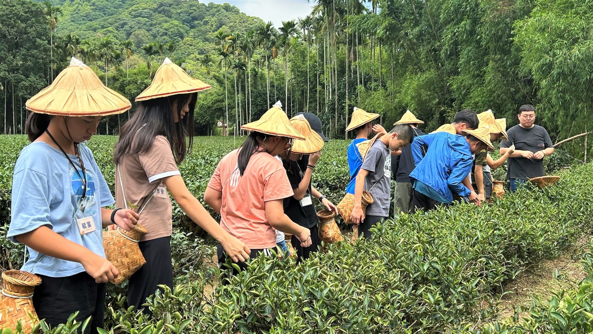 ▲學生走入茶園,學習茶農傳統技藝與產業文化。(圖/賴予亭提供)