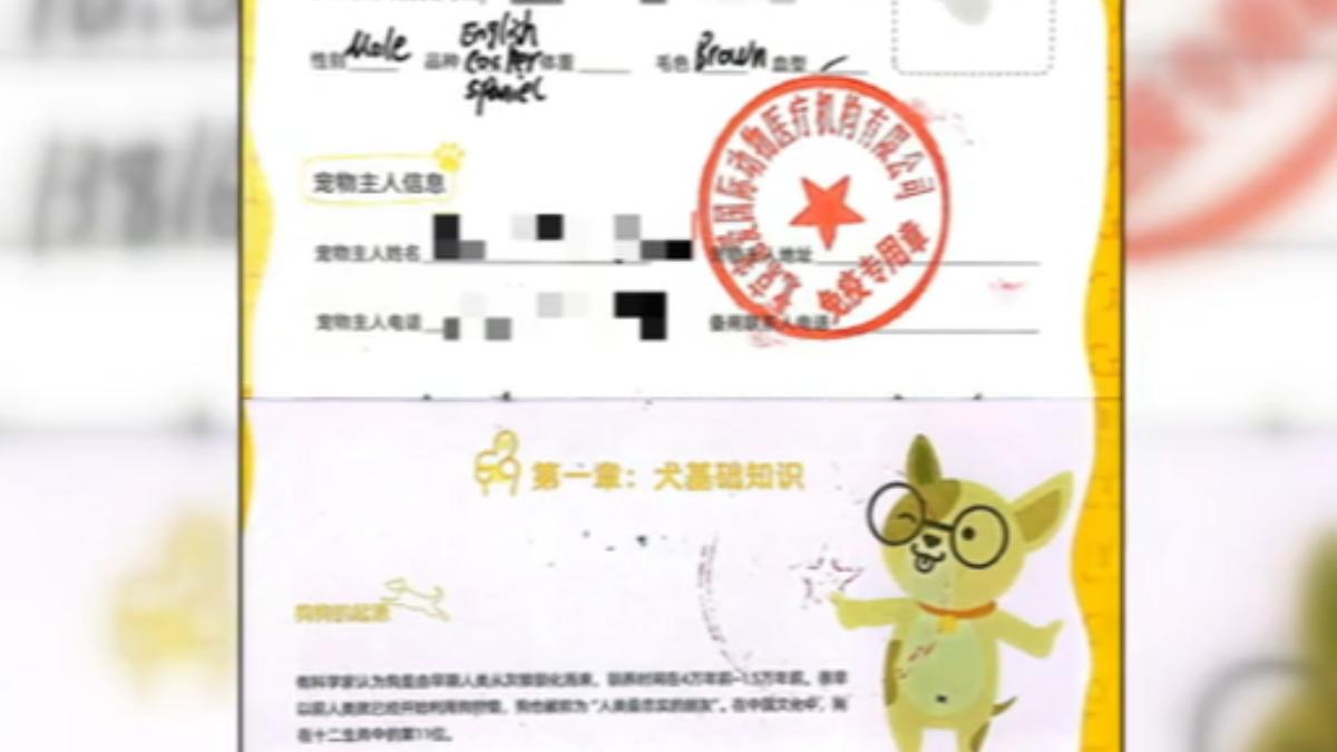 游小姐提供不少狗狗的相關檢疫證明。(圖/游小姐提供)
