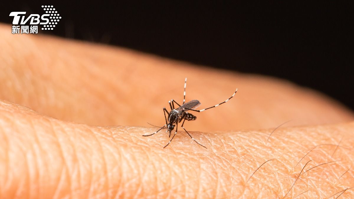 蚊子最愛叮誰?醫曝「4大關鍵」成標靶 5類食物牠們最愛