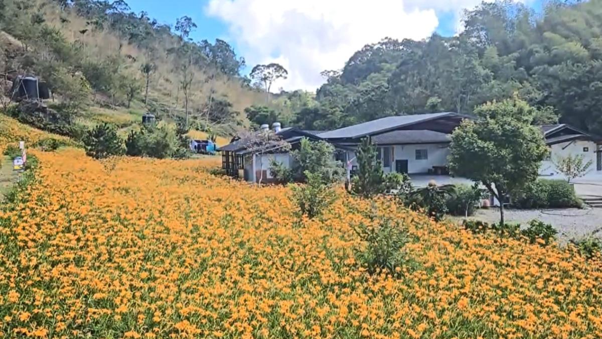 赤科山賞花車資600變2500，運將澄清。（圖／李光濱提供）