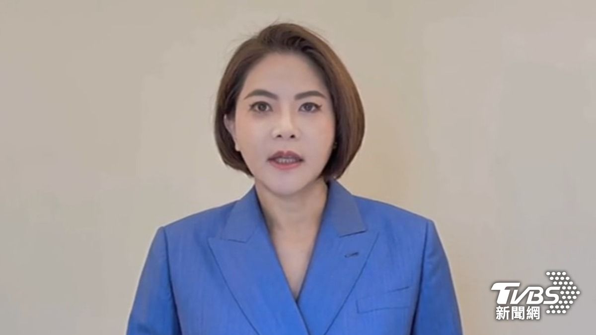 陳菁徽(圖/TVBS資料畫面)