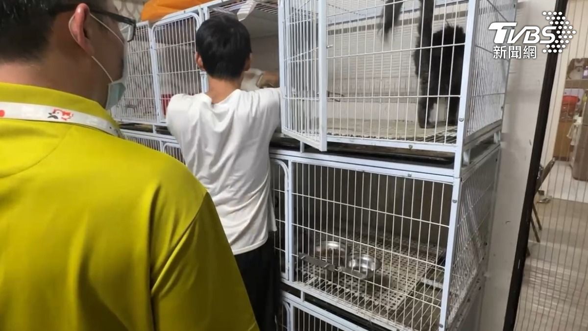 網友PO文指控鳳山有頂讓貓舍涉嫌虐待,投訴官員、民代無用,上網找民眾幫忙。(圖/TVBS)