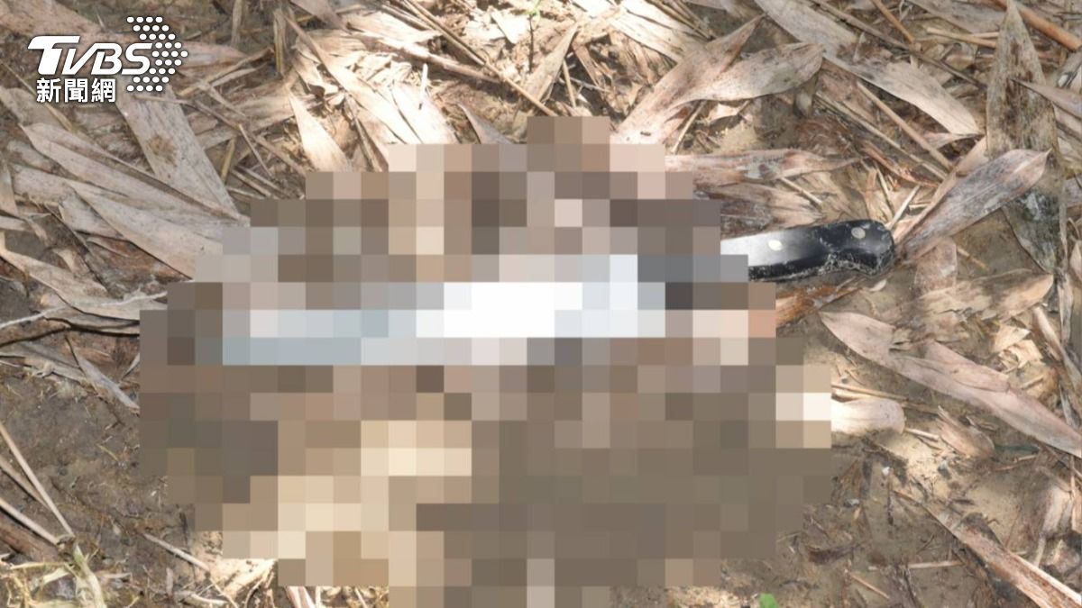 台中男遭菲籍移工砍死!7天前砸母、姨家被毆 手腳全斷住院