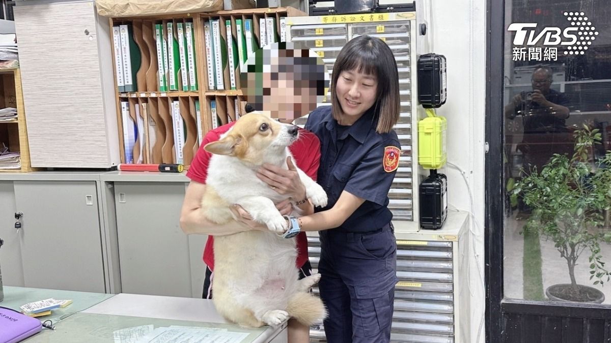 柯基犬突然跳上別人的機車。(圖/TVBS)