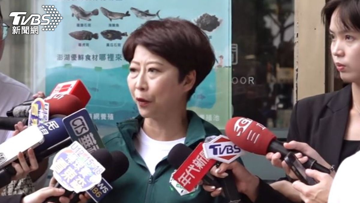 民進黨立委 陳亭妃。（圖／TVBS）