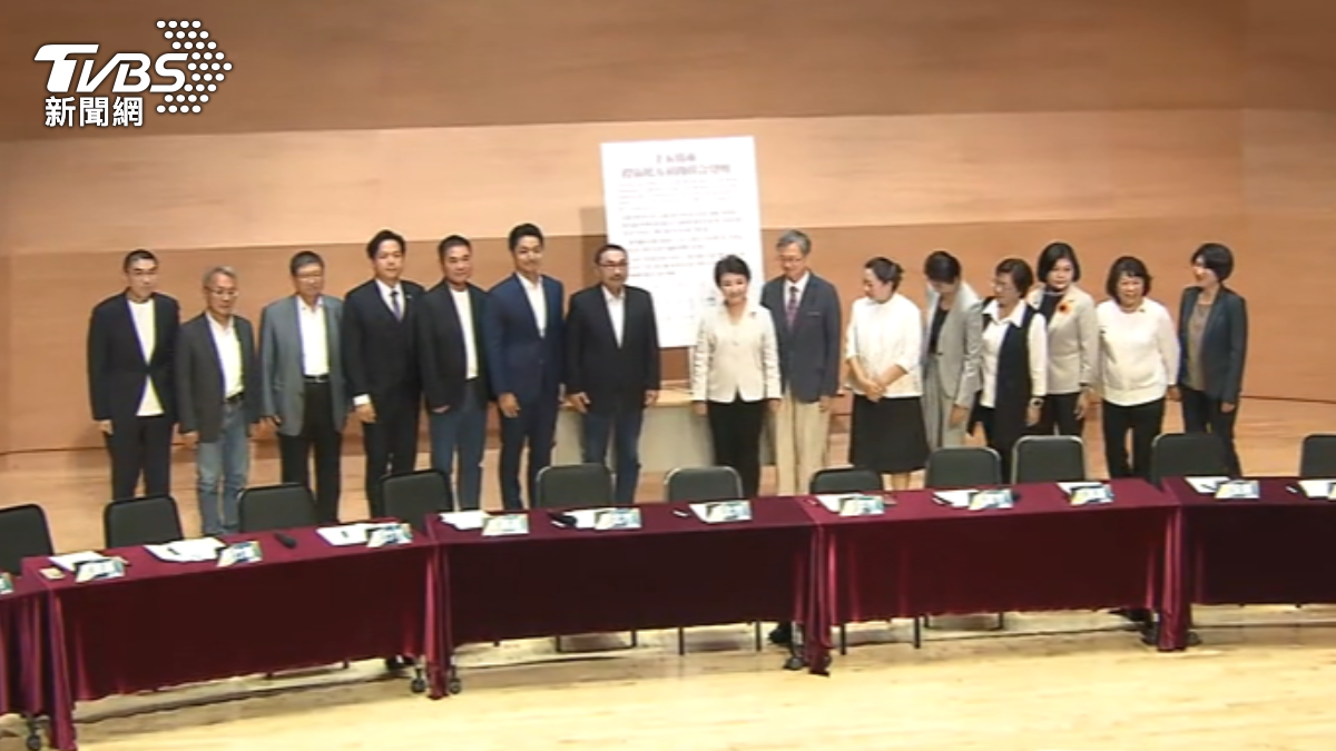台中市長盧秀燕領14縣市籲中央「放下屠刀」。（圖／TVBS）