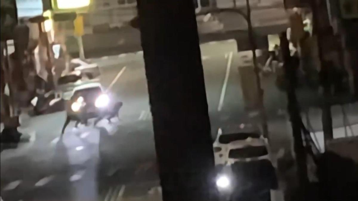 「離我遠一點」,苗栗男遭警攔查,突暴走襲警。(圖/翻攝自苑裡串起來)