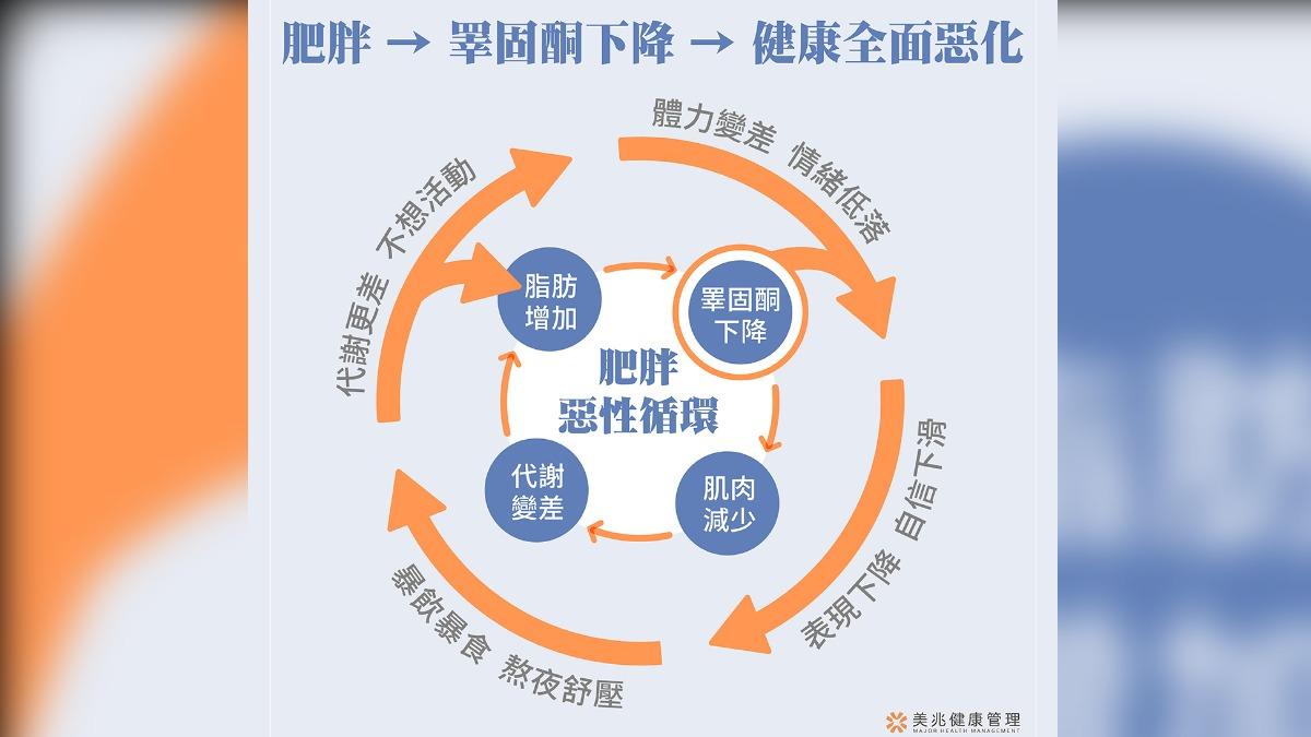 肥胖導致睪固酮下降，再影響身體代謝及健康，惡性循環。（圖／美兆健康管理診所提供）