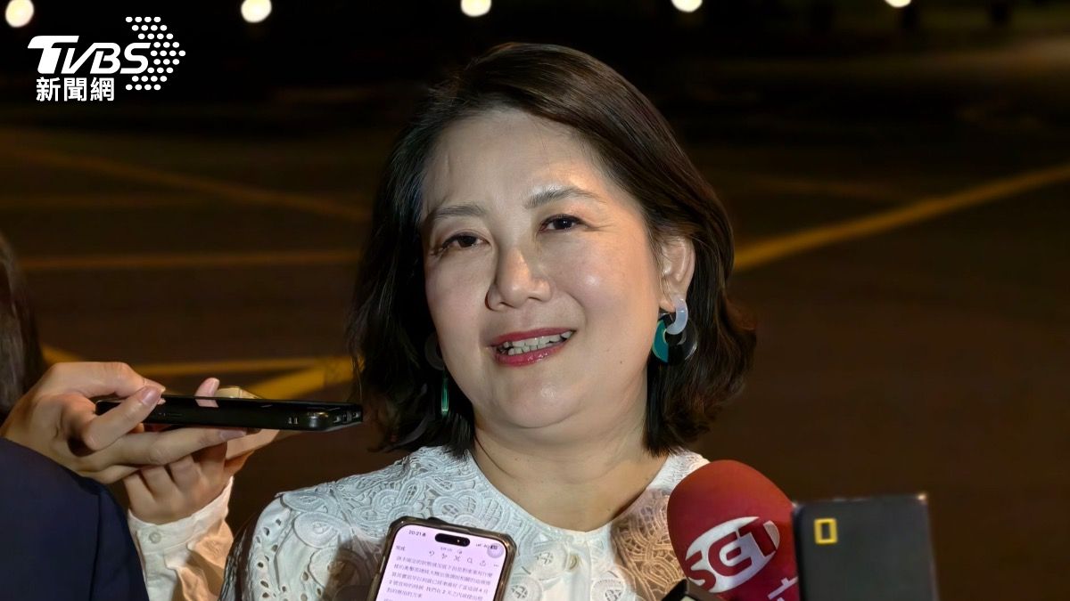 吳思瑤表示，今天都在談文化、沒有談政治。（圖／潘袁詩羽攝）