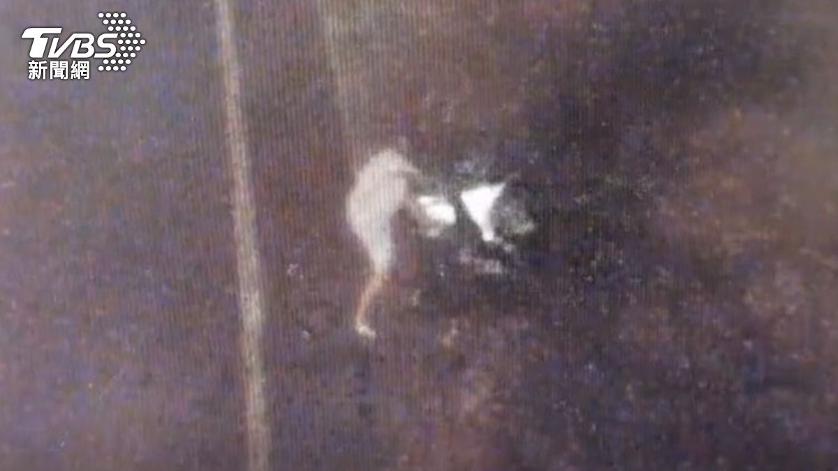 白衣男子翻過護欄,躲進邊坡上的樹叢裡。(圖/TVBS)