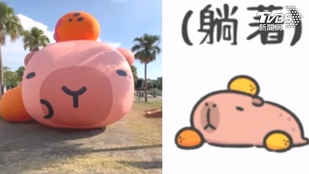 一位以水豚為主題的創作者在社群媒體質疑「卡比胖拉」與自己作品相似。（圖／TVBS）