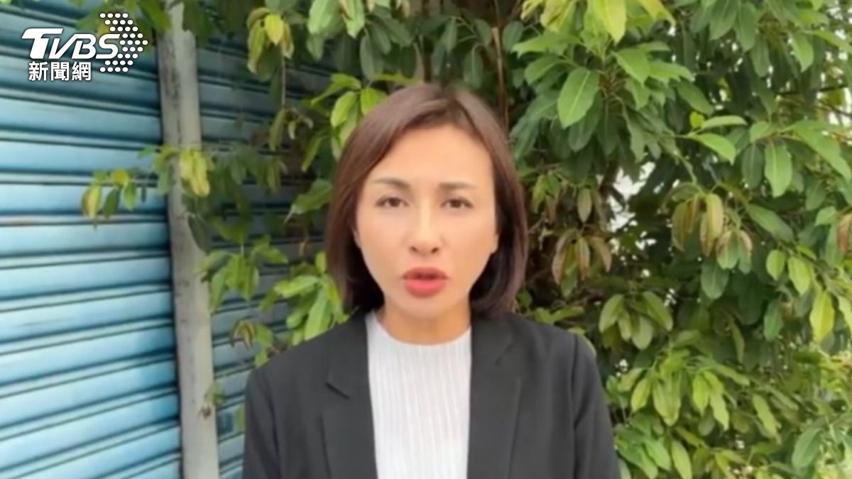 民進黨立委邱議瑩。（圖／TVBS）