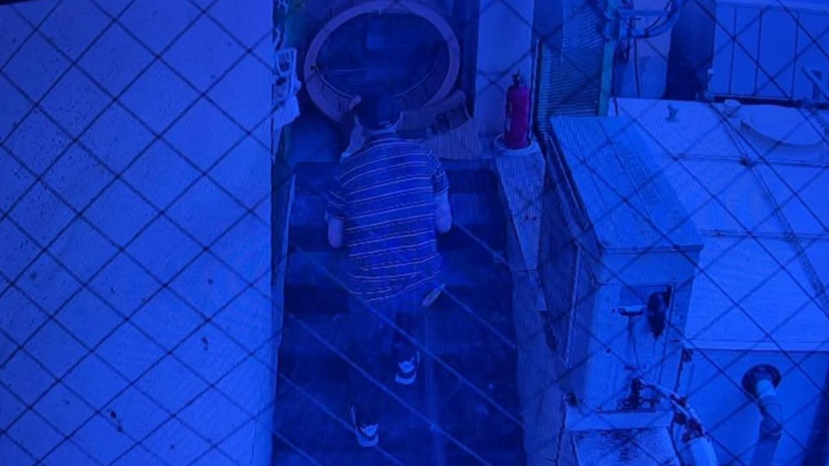貓咖後門驚見「死亡貓箱」!3隻小貓活被熱死 箱內全是掙扎抓痕