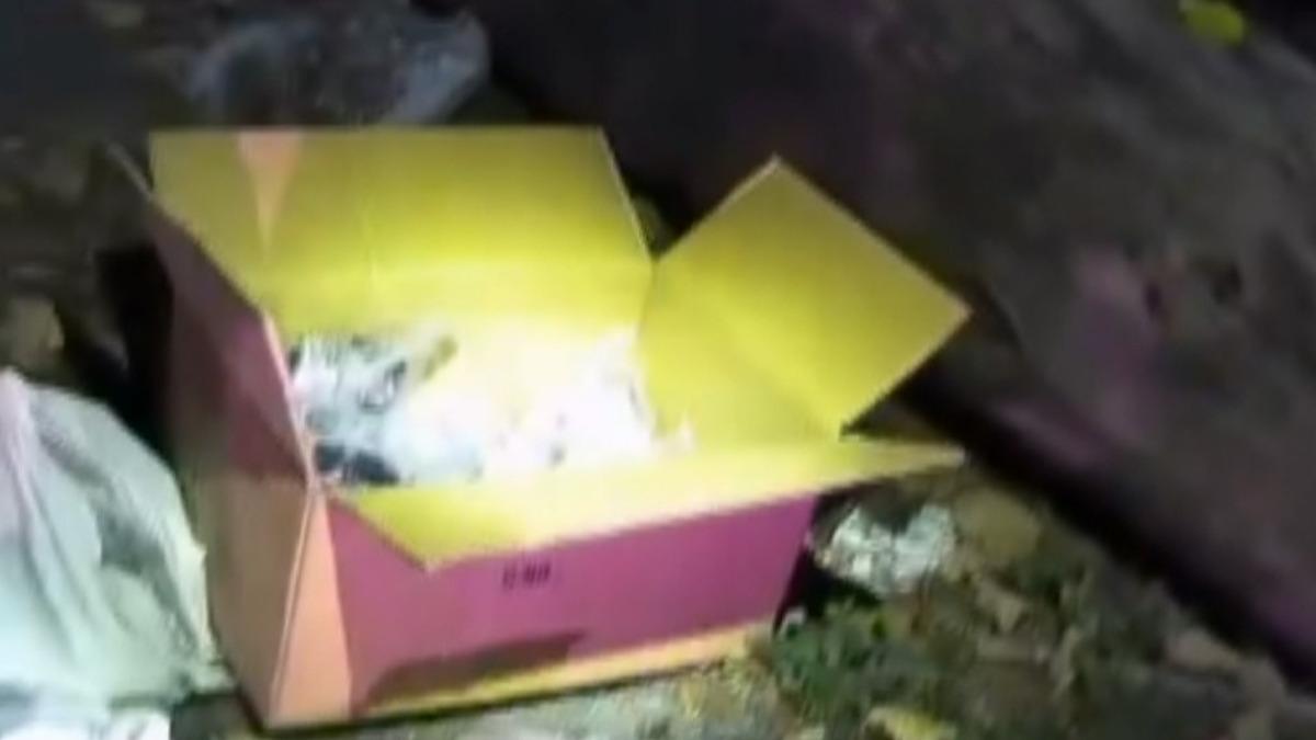 員林三合院變身毒窟!警方突襲揪出2398包毒咖啡包 嫌犯竟辯「來借廁所」。(圖/警方提供)
