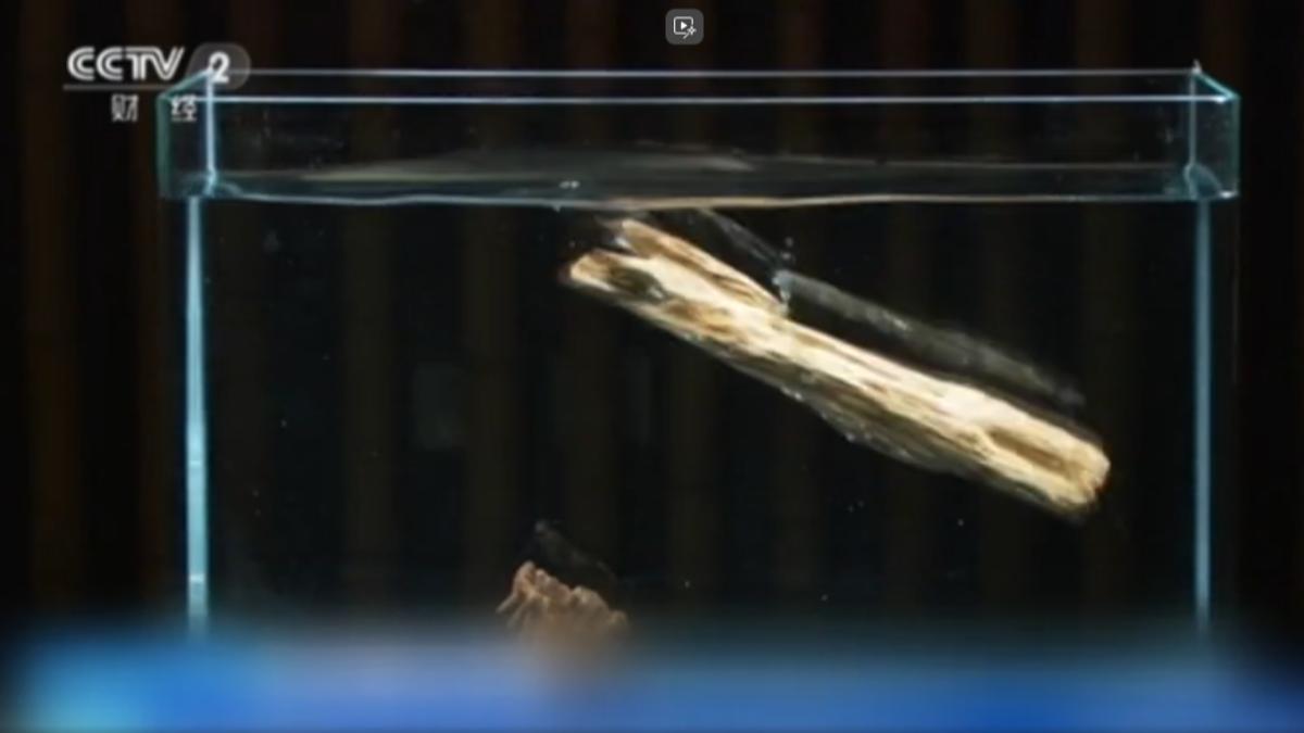 「沉水級」沉香價格高，不肖商家用注油白木冒充也能沉水。（圖／CCTV-2）