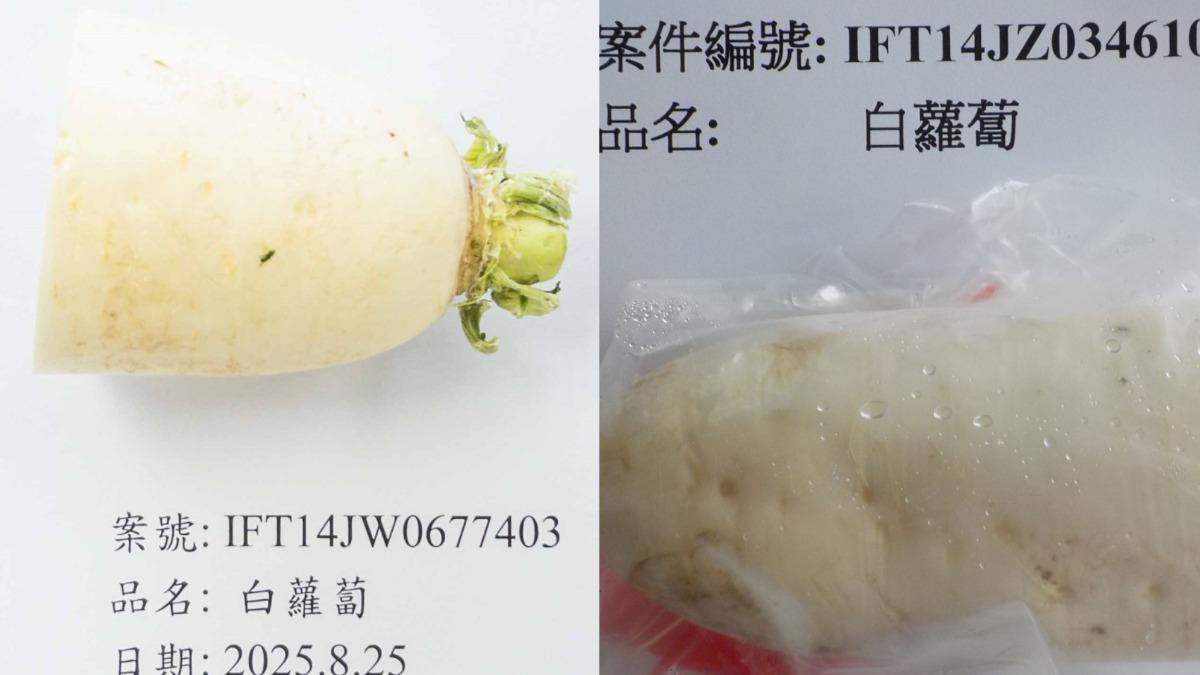 兩批來自大陸的白蘿蔔同樣被檢出含有殺蟲劑。(圖/食藥署提供)