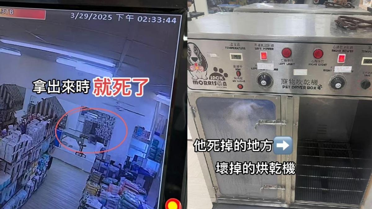 愛貓送洗卻慘死 飼主發文痛訴「奪命烘乾機仍在用」
