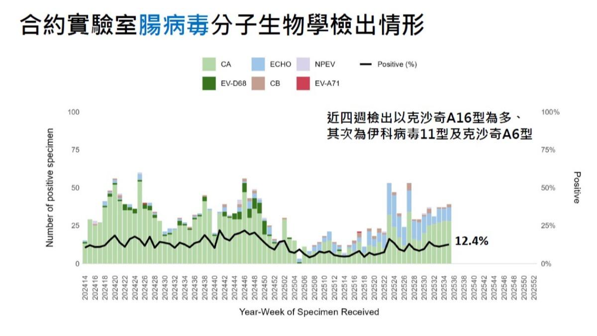 國內腸病毒持續流行。（圖／CDC提供）