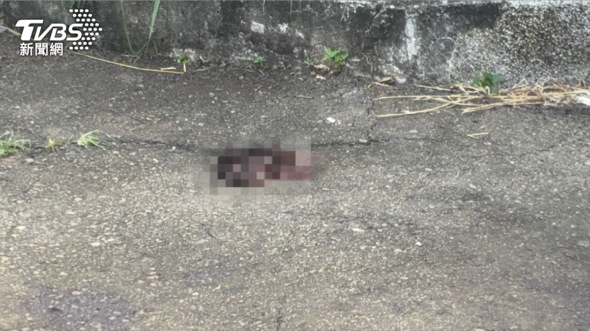 女大生遭刺亡！沙鹿命案現場遺留「粉色髮絲」　黑狗徘迴嗅聞