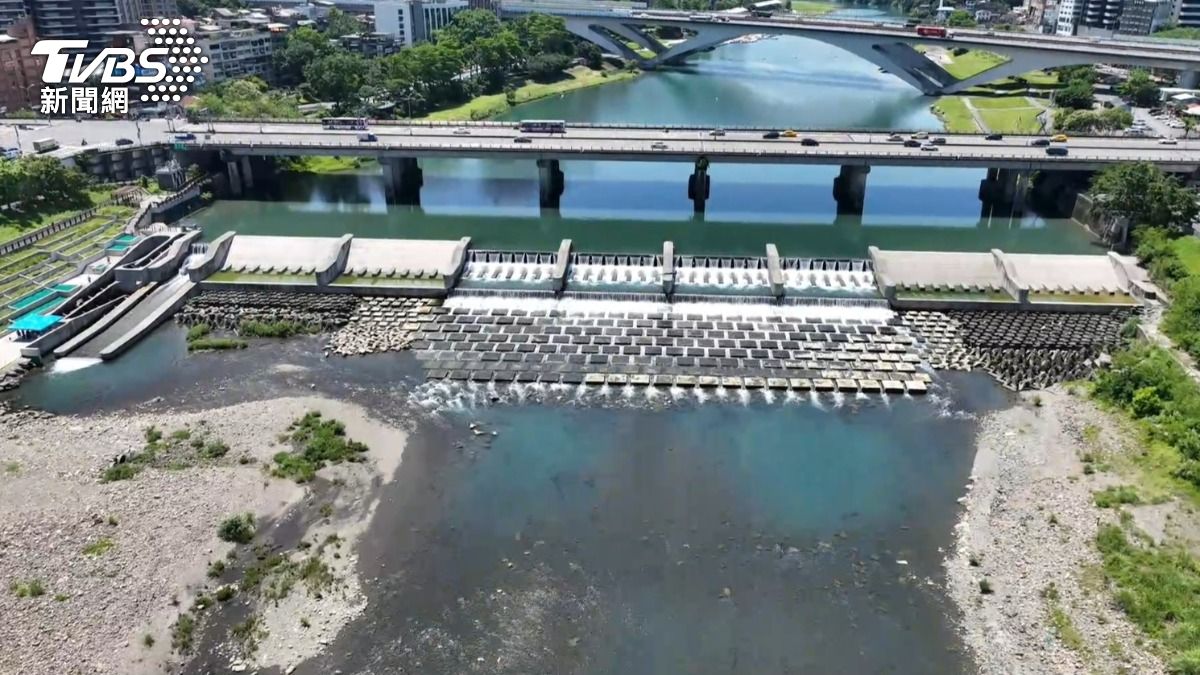 新店溪毛蟹大軍回歸!「S型魚道」讓生態大復活 數萬隻現身