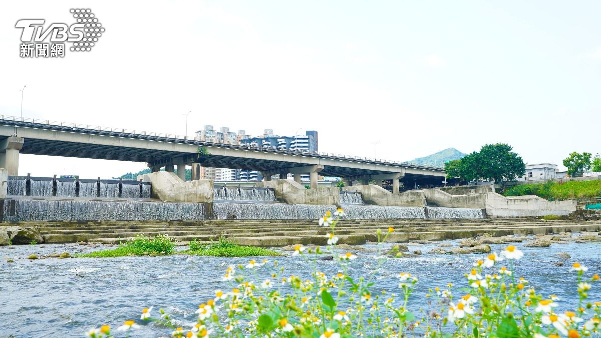碧潭堰增設魚道,搭配AI監測,魚種復育。(圖/TVBS)