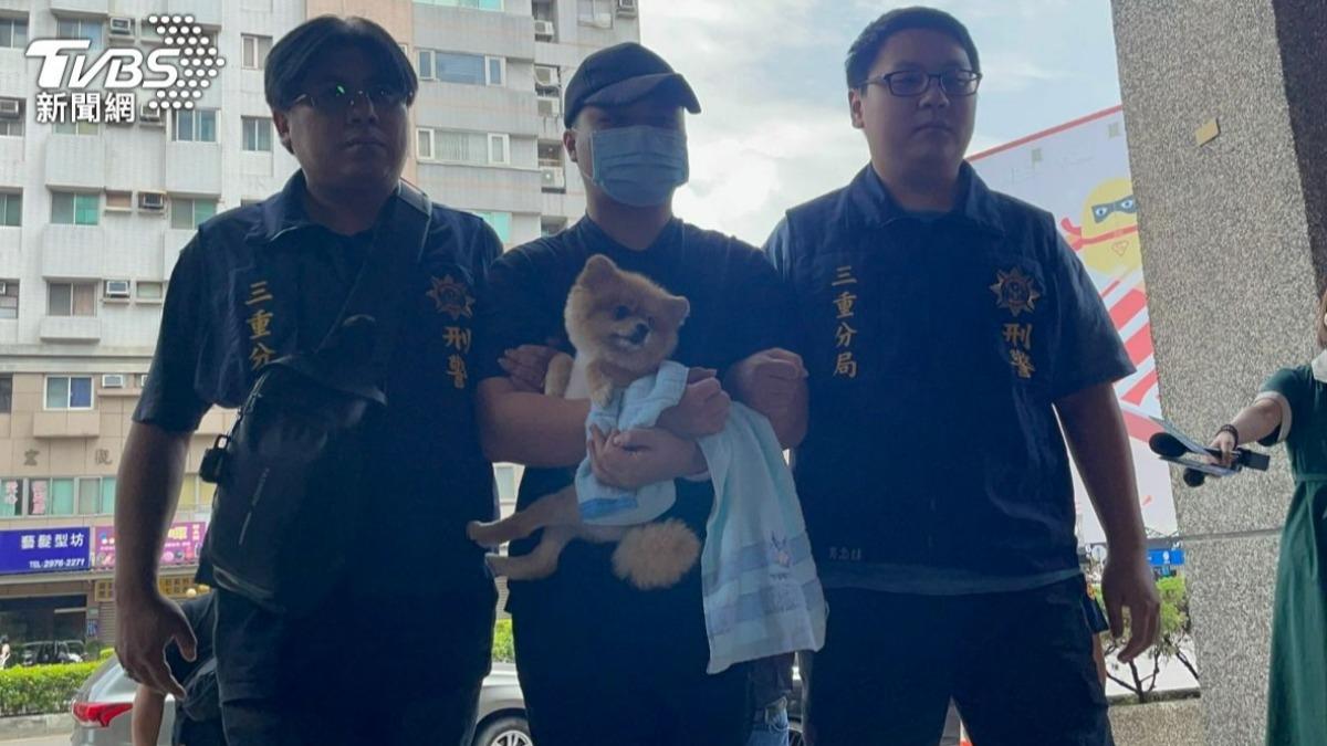重案回顧/軟爛女婿殘殺妻家3口!落網「緊抱博美」 國民法官判3死刑