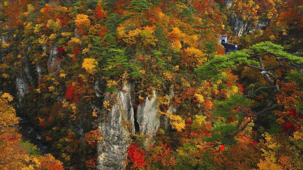 東北宮城縣的鳴子峽,可以同時欣賞紅葉與峽谷。(圖/翻攝自旅東北官網)
