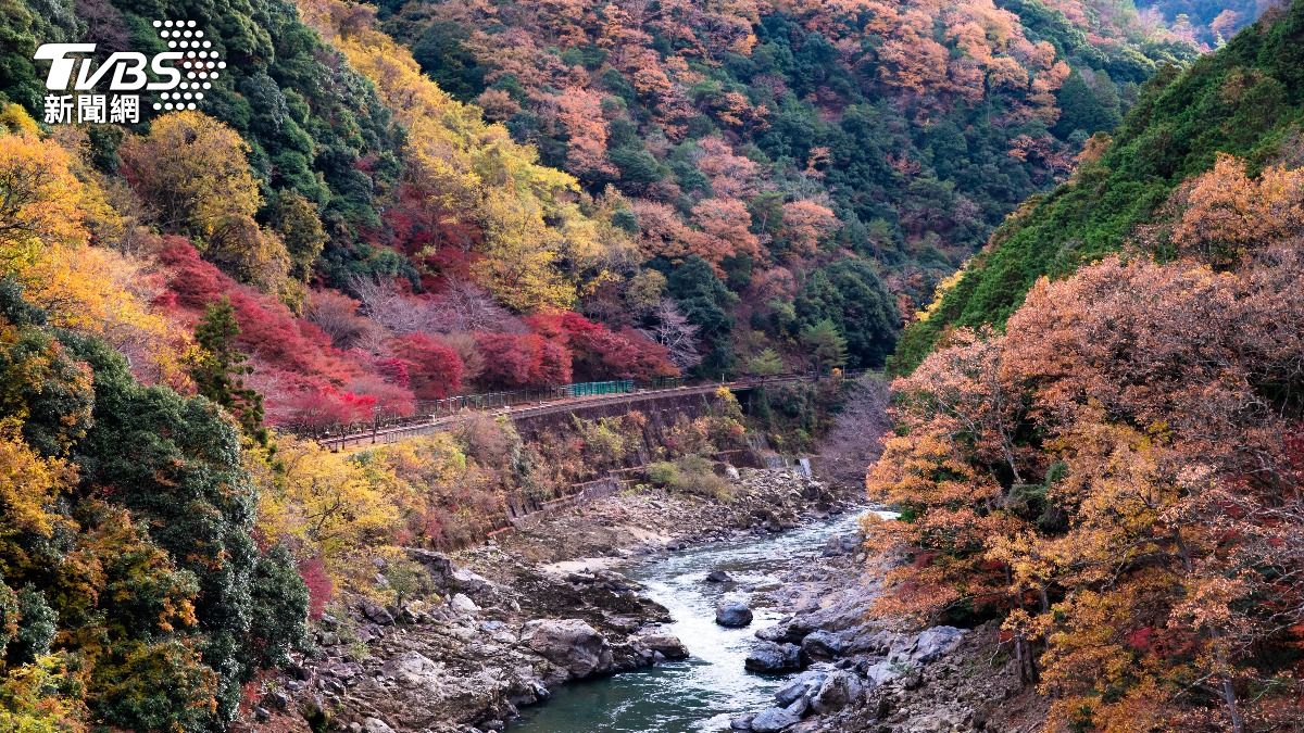 嵐山每逢賞楓期間,山頭就會染上五顏六色。(示意圖/shutterstock 達志影像)