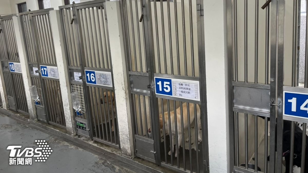 新北市警犬隊犬舍。（圖／蕭沁梅攝）