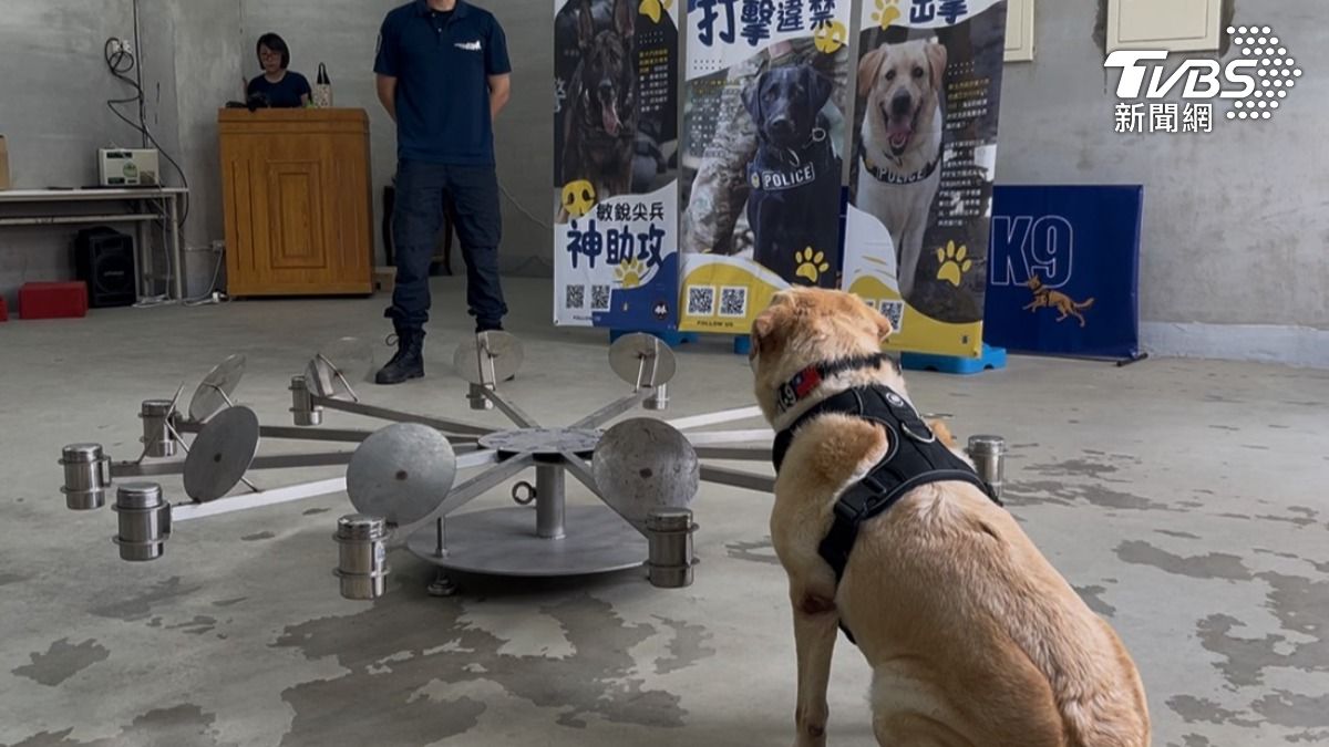 警犬平時的嗅覺訓練。（圖／蕭沁梅攝）