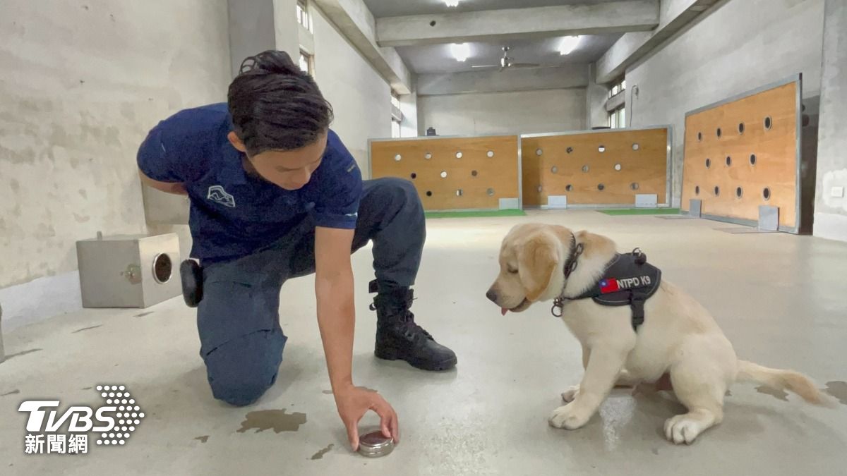 「大福」與領犬員周耕緯。（圖／蕭沁梅攝）