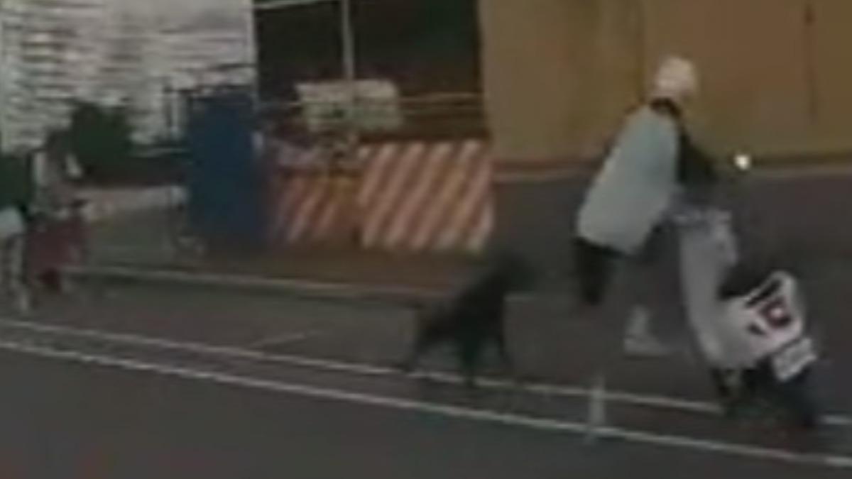 騎士閃狗不及摔車。(圖/目擊民眾提供)