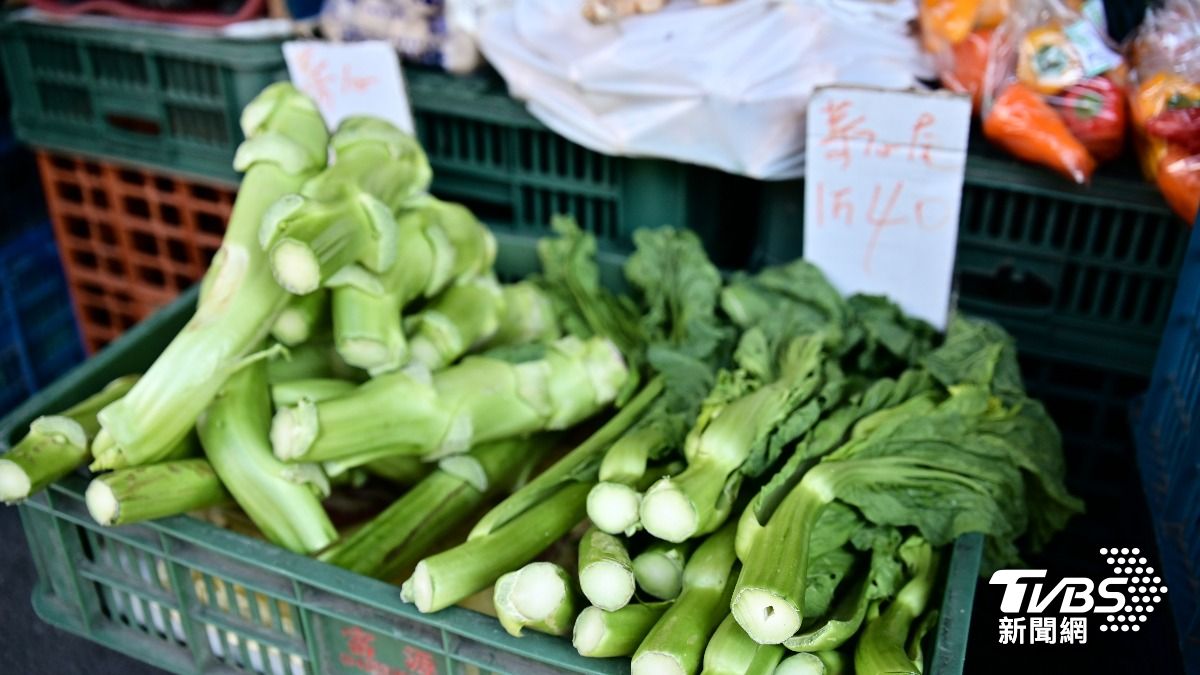 颱風沒來菜價跌　雲林菜農「50元自助挖菜」怕菜爛救虧損