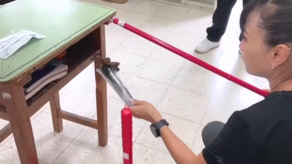 南投教室驚見大頭蛇躲書桌!女老師霸氣抓蛇。(圖/民眾提供)