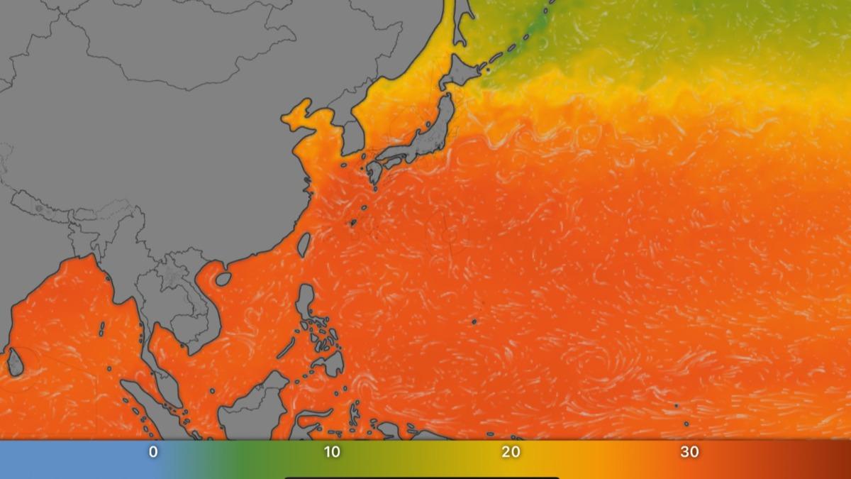 台灣附近海水溫度近來都接近28-29度。(圖/Windy)