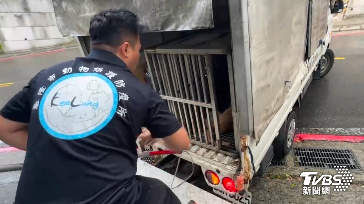 基隆郵差送信被犬隻「咬斷手指」 飼主重罰1萬5千元