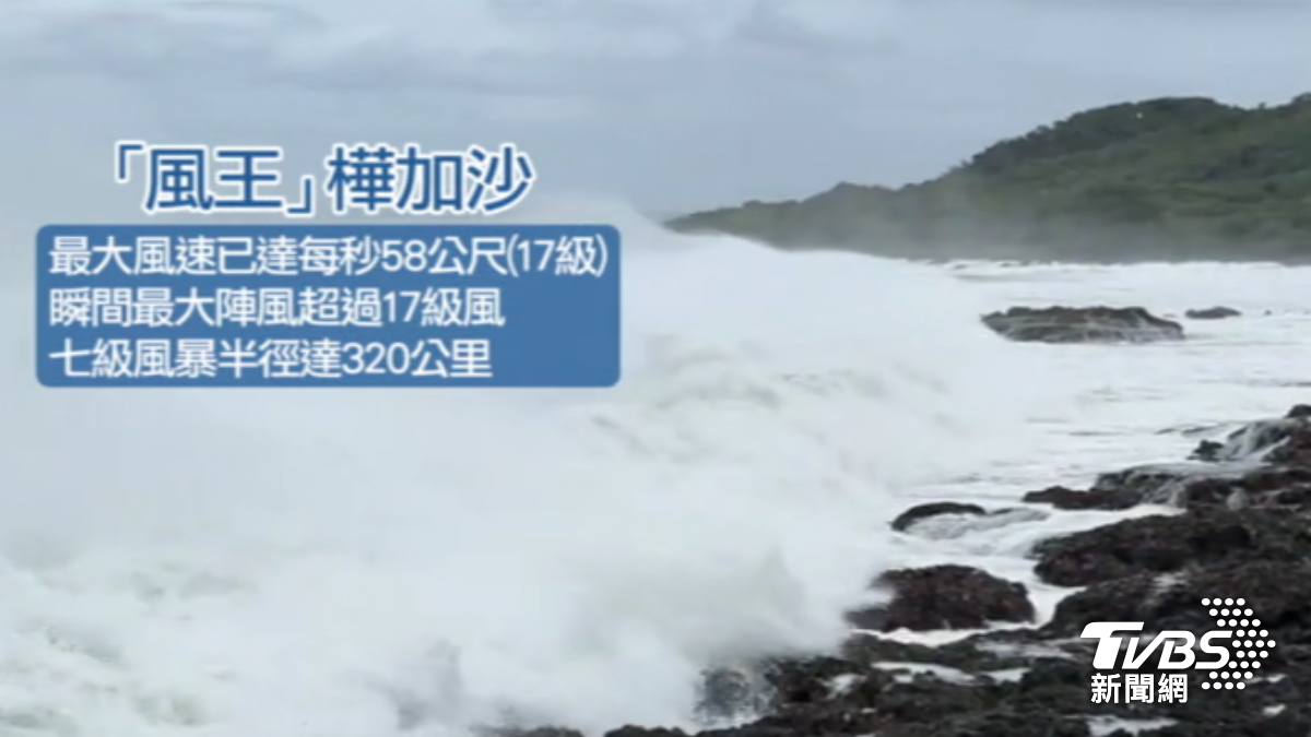 樺加沙問鼎風王。(圖/TVBS)