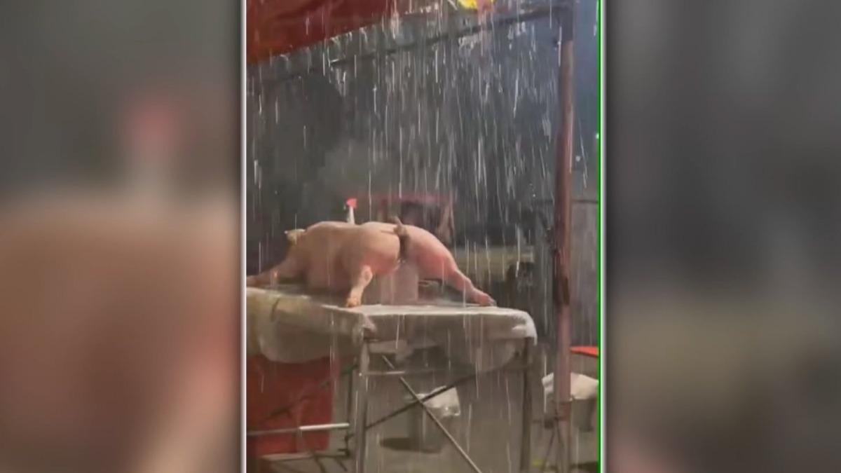 王爺堅持不延期 百年廟暴雨中辦普度。(圖/廟方提供)