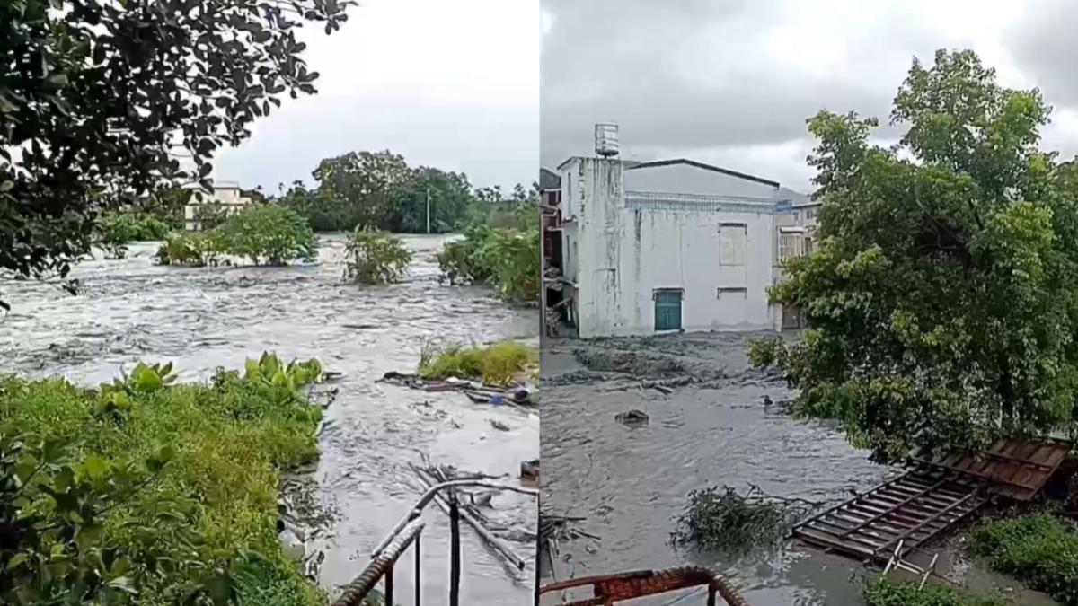 洪水沖斷馬太鞍溪橋，也導致光復市區多處民宅淹水。（圖／民眾提供）