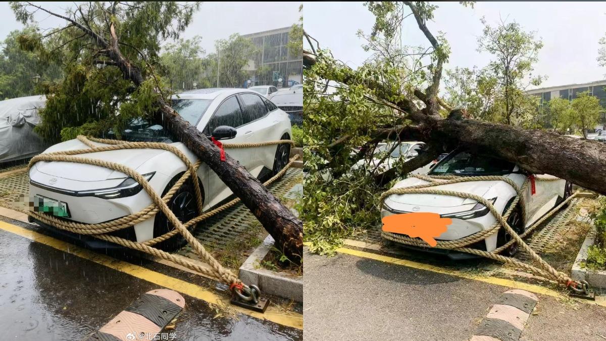 愛車仍被路樹砸毀。(圖/翻攝自微博)